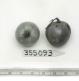 Click for 1 image(s) for this accession. FRUIT